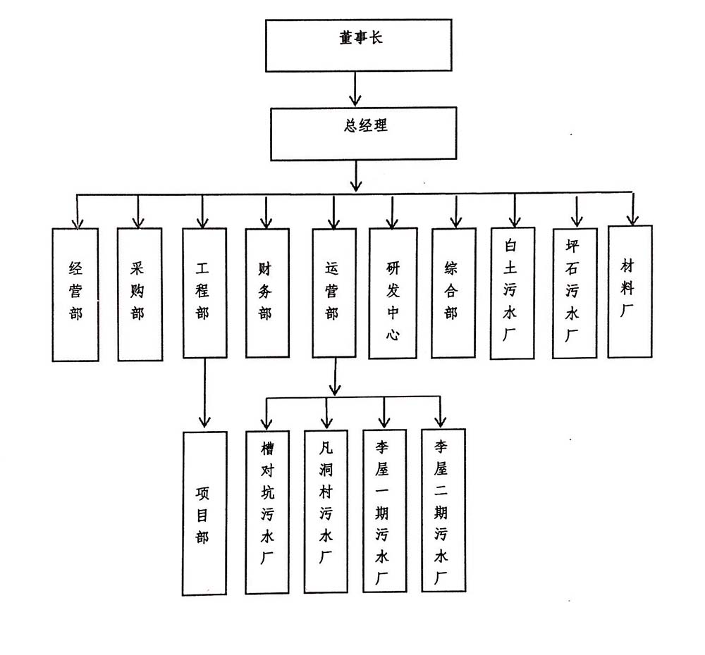 组织结构